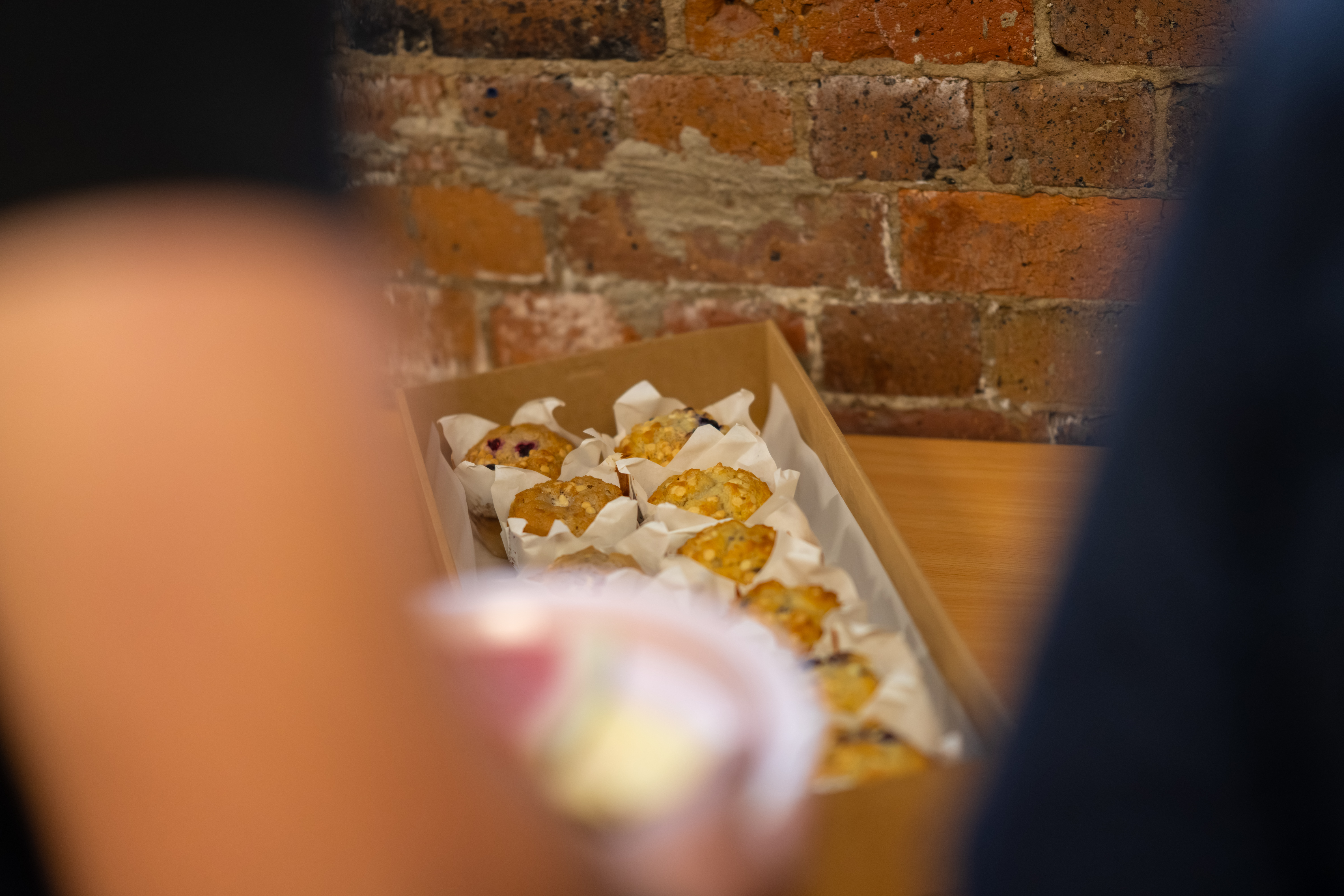 Freedom Workshop November 2025 - Photo 60